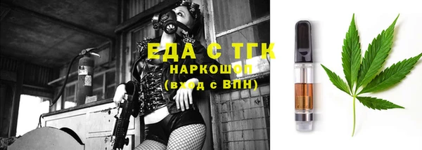 индика Аркадак
