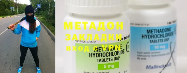 индика Аркадак