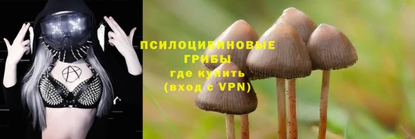 индика Аркадак