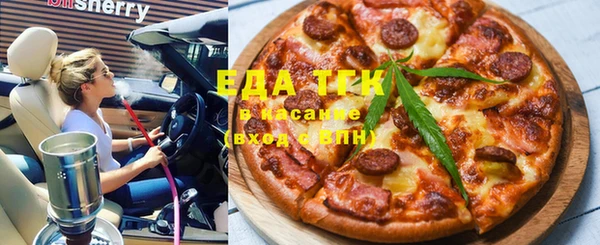 индика Аркадак