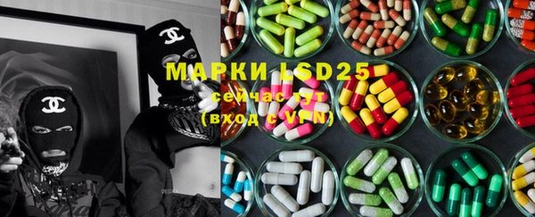 индика Аркадак