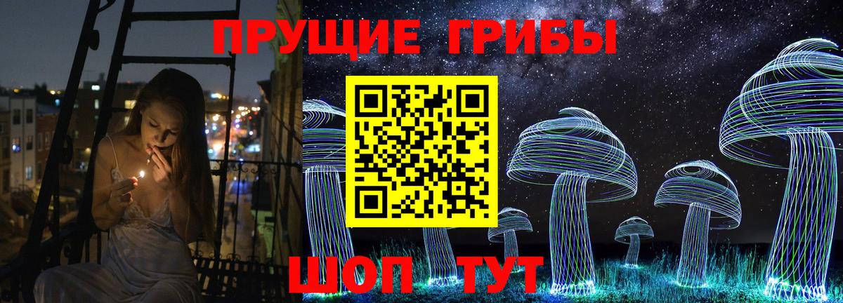 Псилоцибиновые грибы Cubensis Белебей