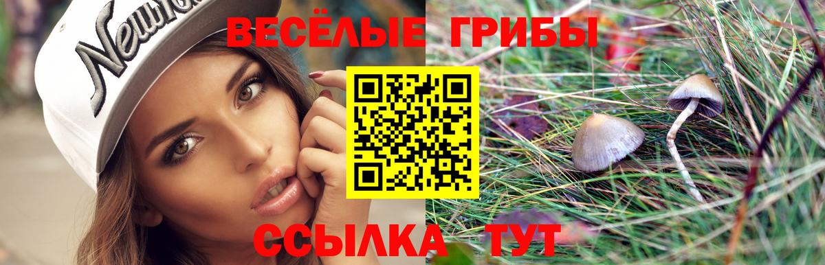 Белебей  Псилоцибиновые грибы ЛСД  Вход с VPN 