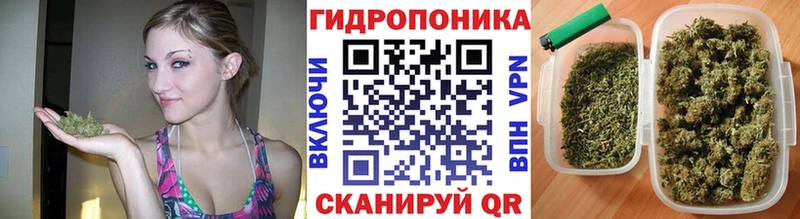 Каннабис OG Kush где найти Белебей